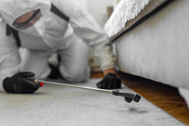 Professional Bed Bug Control technician working in Oyster Creek, TX